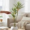 Planta Dracaena Artificial 70 cm