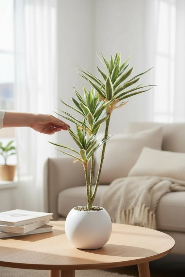 Planta Dracaena Artificial 70 cm